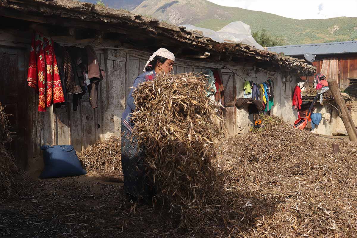 Village life in Nepal